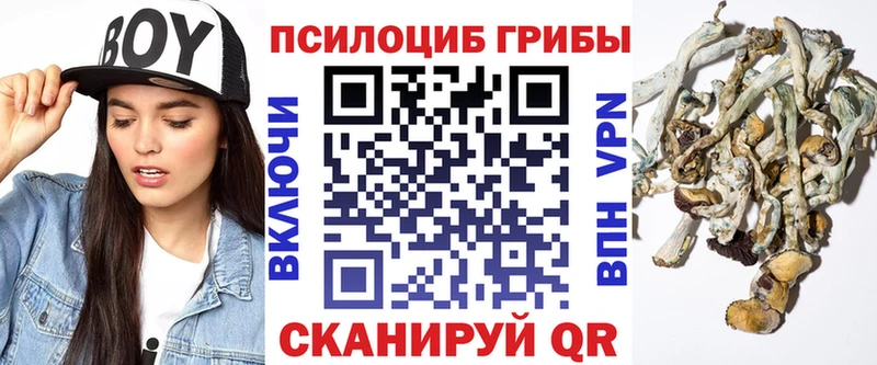 Галлюциногенные грибы Magic Shrooms  хочу наркоту  Рыльск 